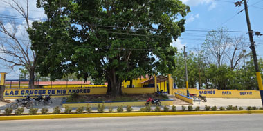 Las Cruces